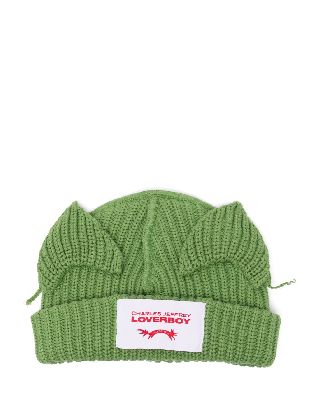 chunky ears beanie