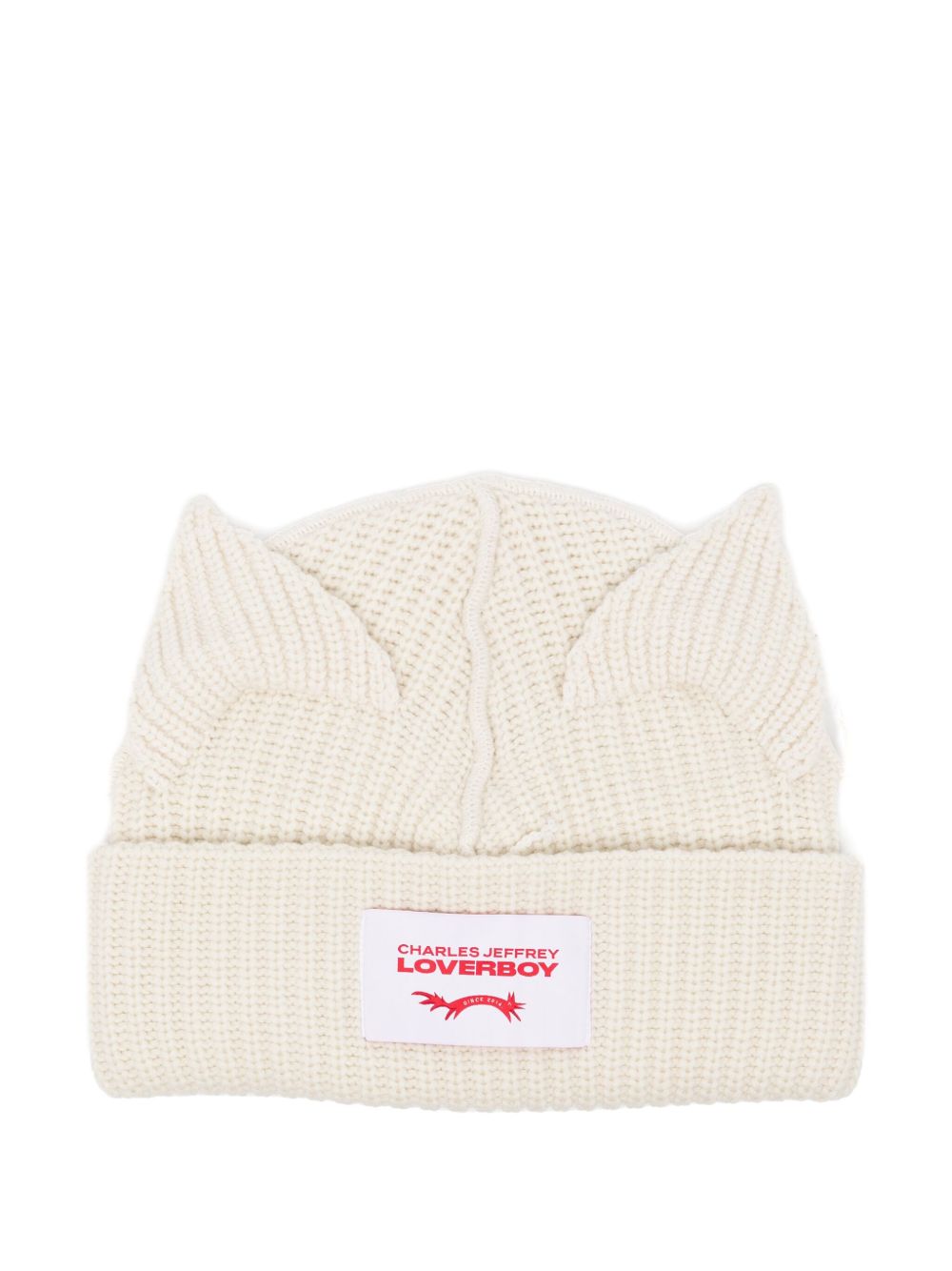 chunky ears beanie