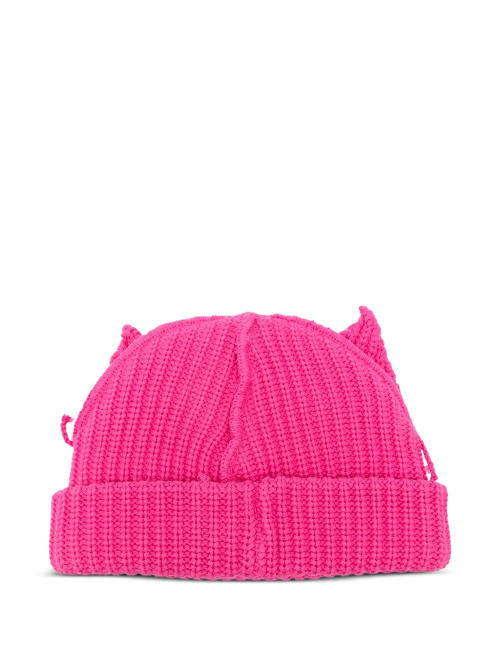 Ears beanie