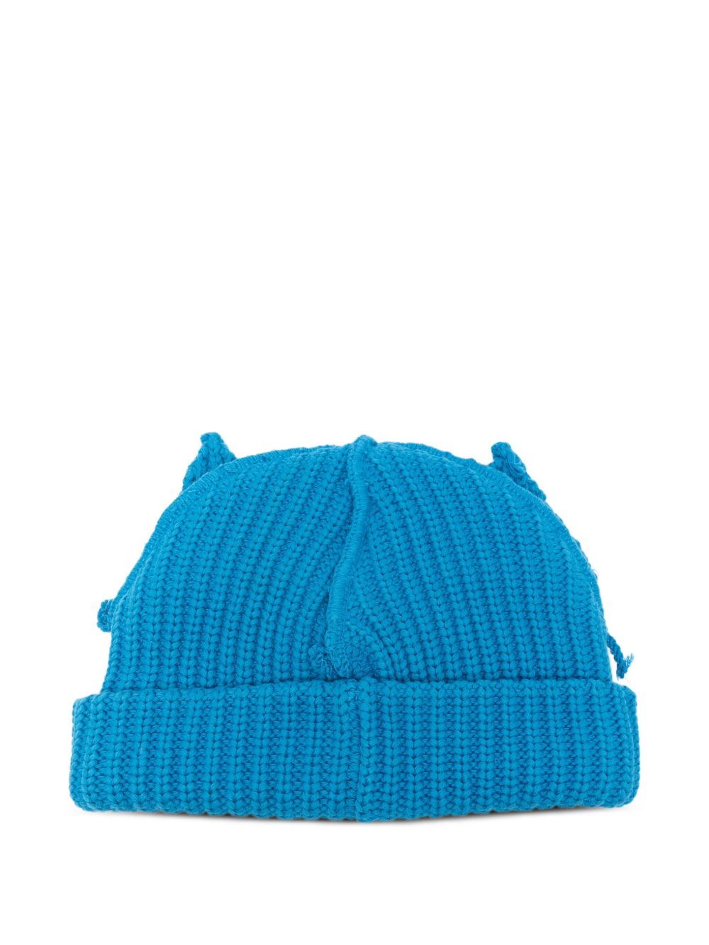 pop up-ears beanie