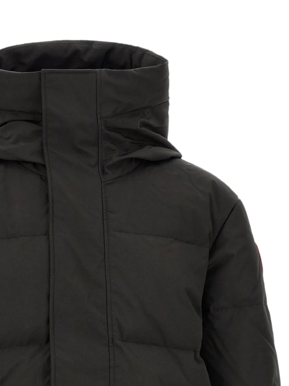 Seymour padded jacket