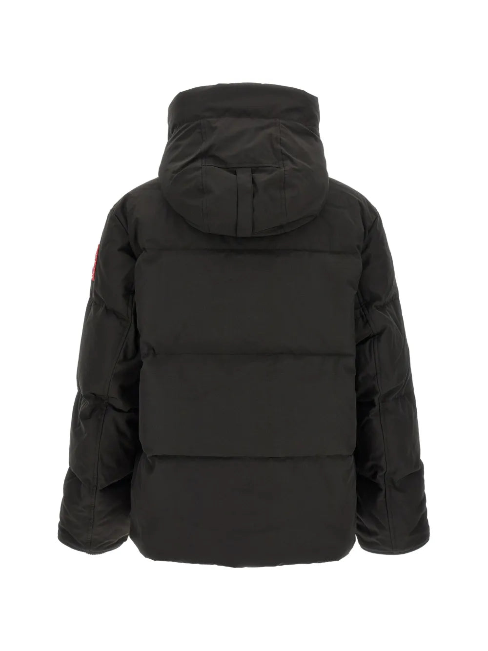 Seymour padded jacket
