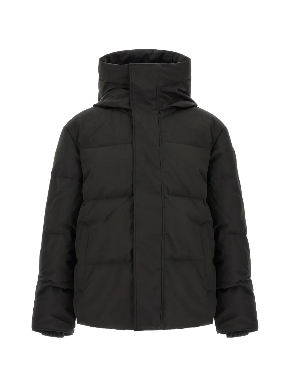 Seymour padded jacket