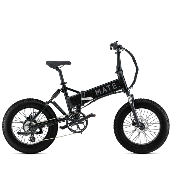 Mate X 250W Interstellar Black Bike